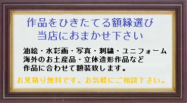 書道額 写経額 書道作品用 漏らし